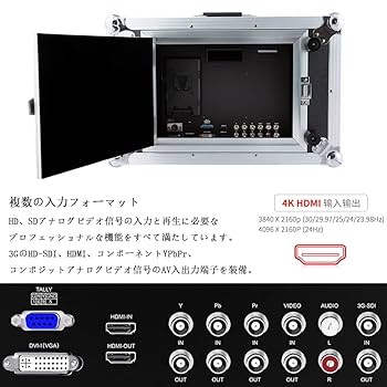 Amazon.co.jp: SEETEC P173-9HSD-CO 17.3 インチ プレイバック
